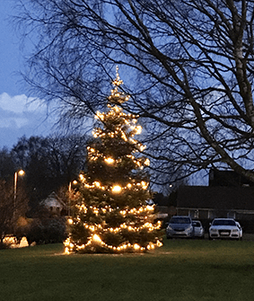 Christmas Tree